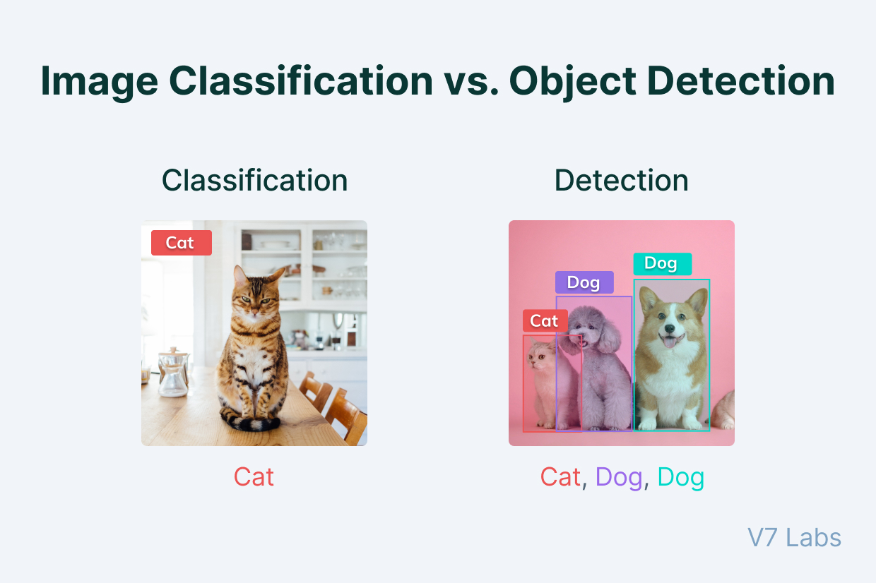 Classification vs Detection