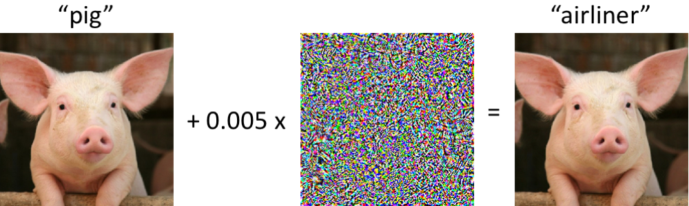 Adversarial Example
